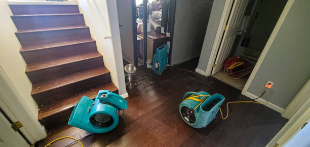 Best Ceiling water damage repair  in Pinehurst, NC