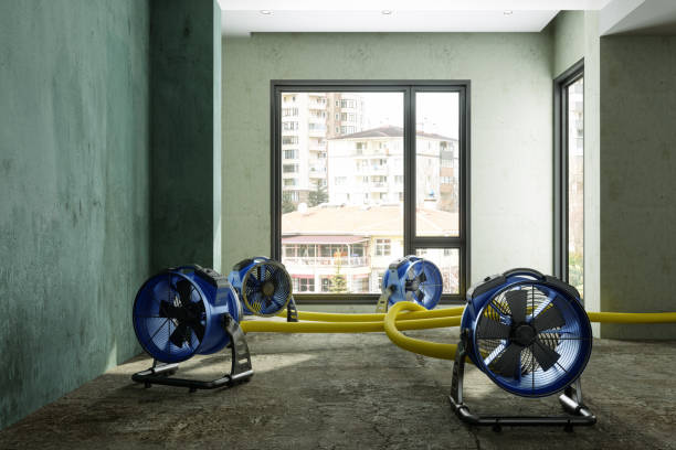 Best Sewage cleanup and water damage restoration  in Pinehurst, NC